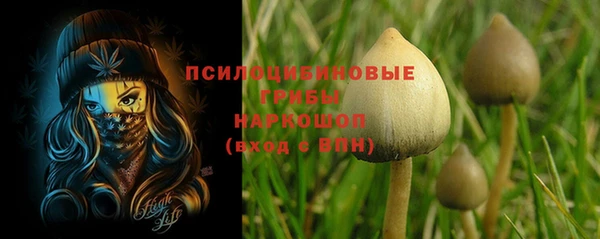 ALPHA PVP Михайловск