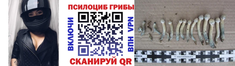 наркотики  Мостовской  Галлюциногенные грибы мухоморы 